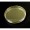 Yeast Plates