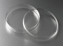 Tissue Culture Dish