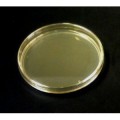 Yeast Plates
