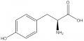 L Tyrosine