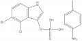 BCIP