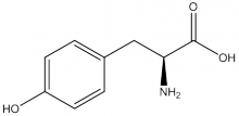 L Tyrosine