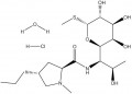 Lincomycin HCl