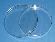 Petri Dishes
