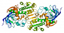Alcohol Dehydrogenase - image by wiki user Emw